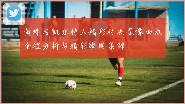 黄蜂与凯尔特人精彩对决录像回放全程分析与精彩瞬间集锦