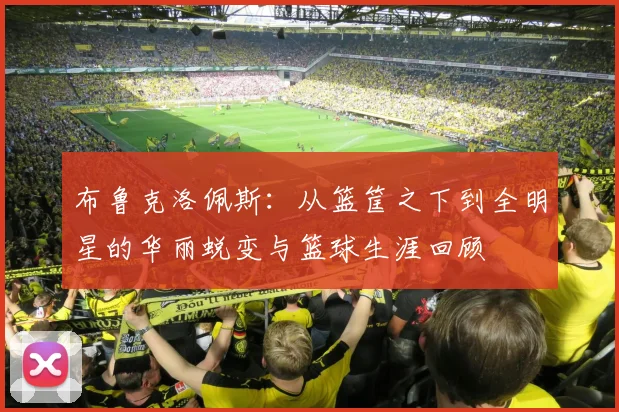 布鲁克洛佩斯：从篮筐之下到全明星的华丽蜕变与篮球生涯回顾