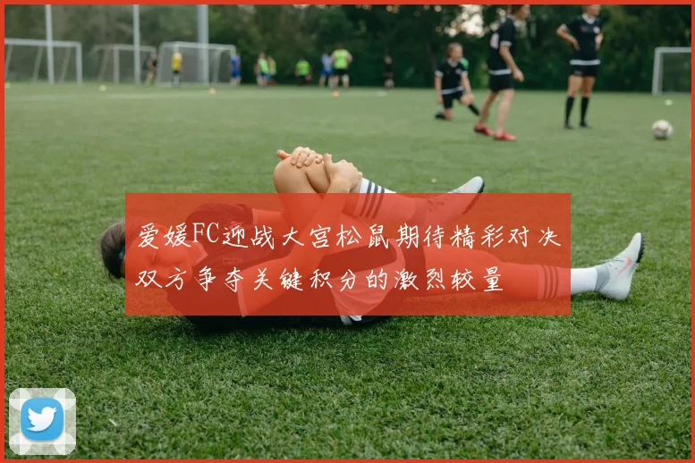 爱媛FC迎战大宫松鼠期待精彩对决双方争夺关键积分的激烈较量