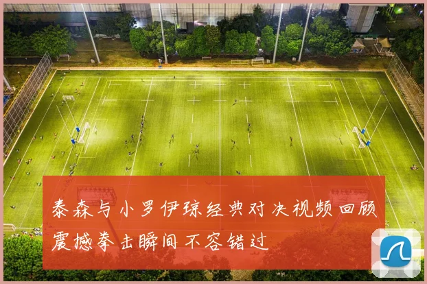 泰森与小罗伊琼经典对决视频回顾震撼拳击瞬间不容错过