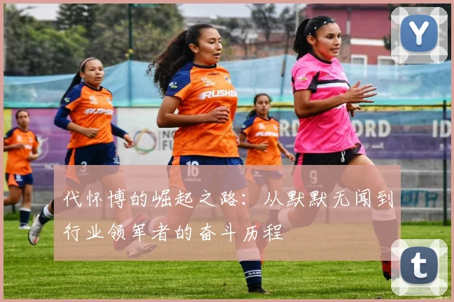代怀博的崛起之路：从默默无闻到行业领军者的奋斗历程