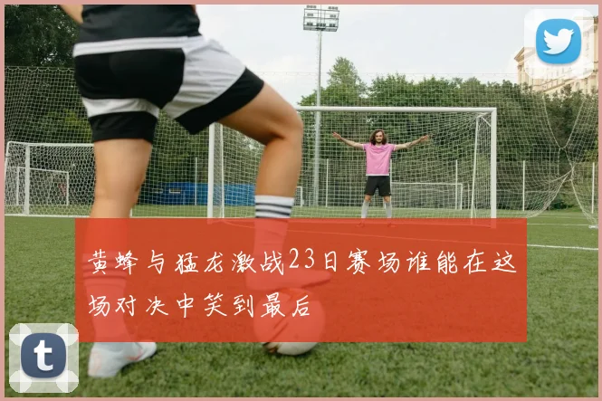 黄蜂与猛龙激战23日赛场谁能在这场对决中笑到最后