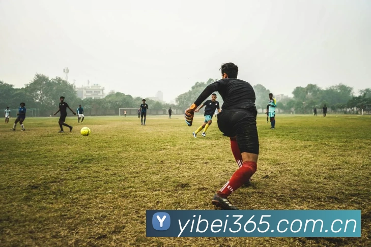 易倍体育平台生态图