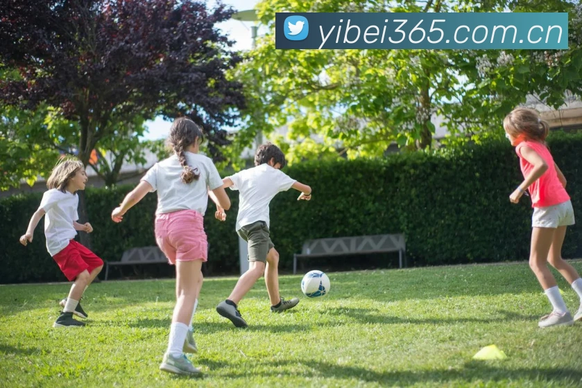 易倍体育APP 封面图